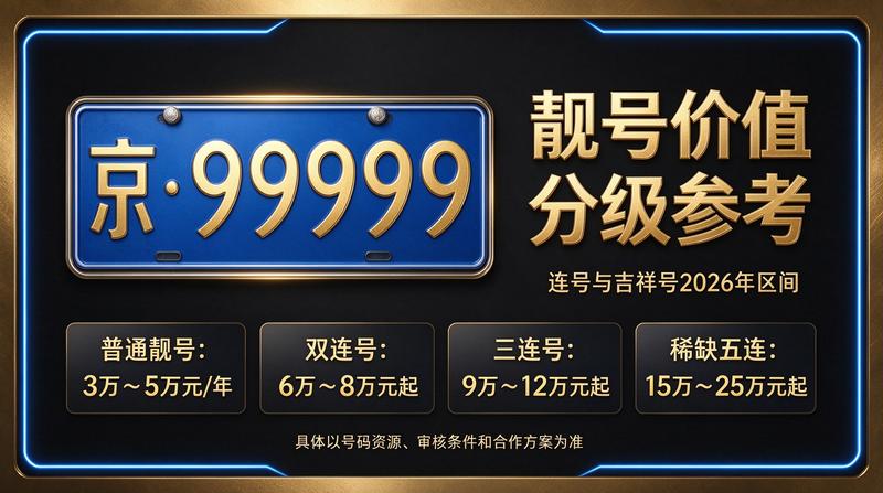闲置北京京牌照出租业务展示